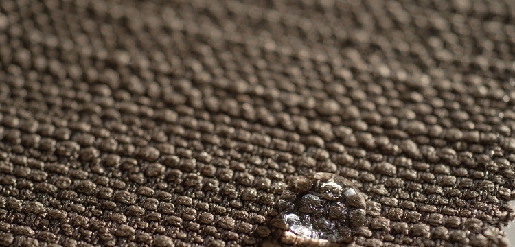 聚酯粉末涂料片材長霉試驗