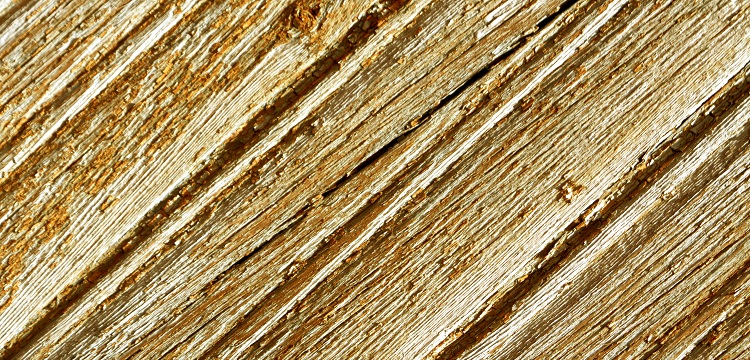 濰坊消毒產品衛生安全評價報告材料怎么辦 ，濰坊消毒產品檢測備案?全國消毒產品網上備案信息查詢辦法