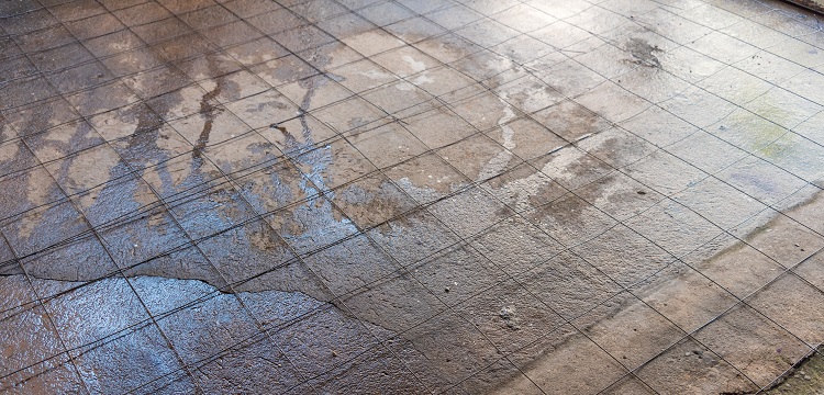 媒體報道多個電商平臺有售「造假消毒液」，用「甲醇冒充酒精」售賣，甲醇對人體的危害有多大 如何辨別 ?寵物醫院用什么消毒液? 健明迪檢測