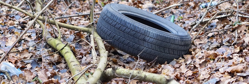 水質檢測報告編制要點解析