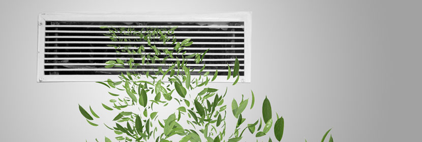 調(diào)節(jié)腸道干細胞分化基因小鼠譜系示蹤模型