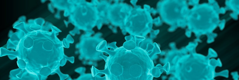 流感病毒感染C反應蛋白基因敲除小鼠模型