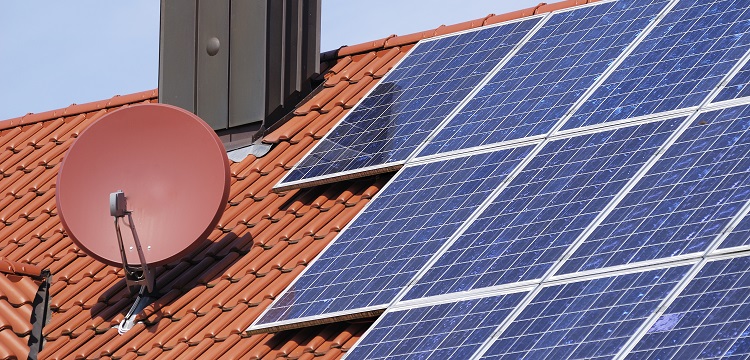 植物多胺測(cè)定