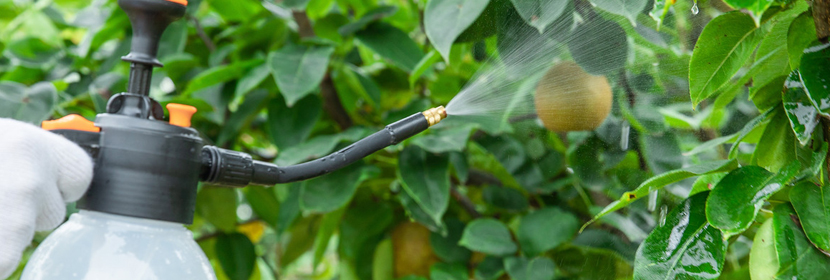 壓鑄機(jī)檢測(cè)