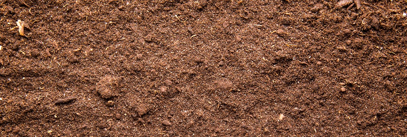 有機(jī)磷檢測