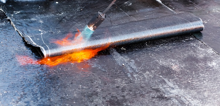 煙酰胺單核苷酸檢測(cè)