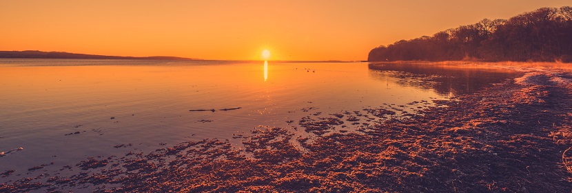 細(xì)菌檢測(cè)